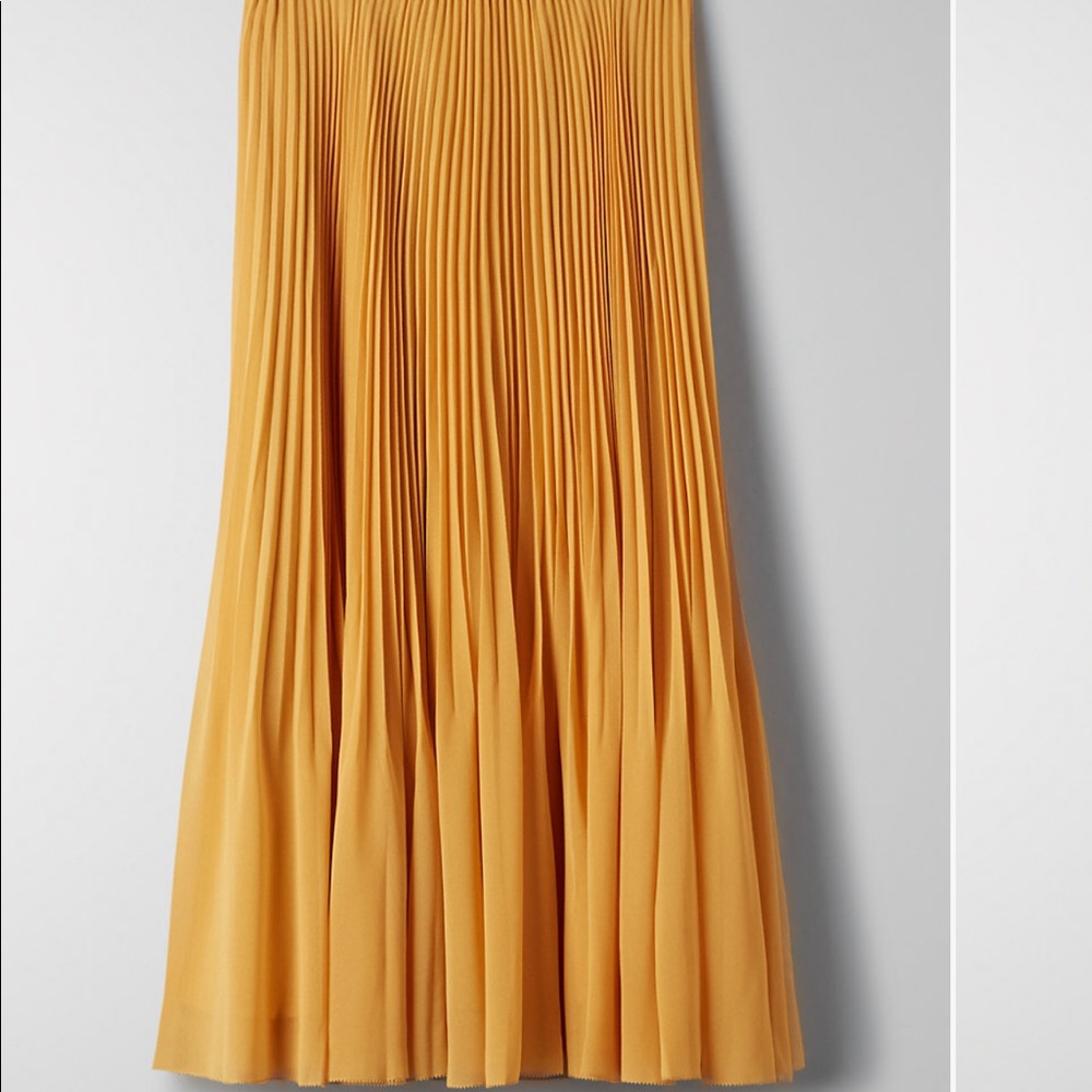 COPY - Aritzia Wilfred skirt